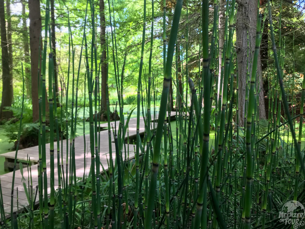 Bambus-Hölzer und Bohlenwege