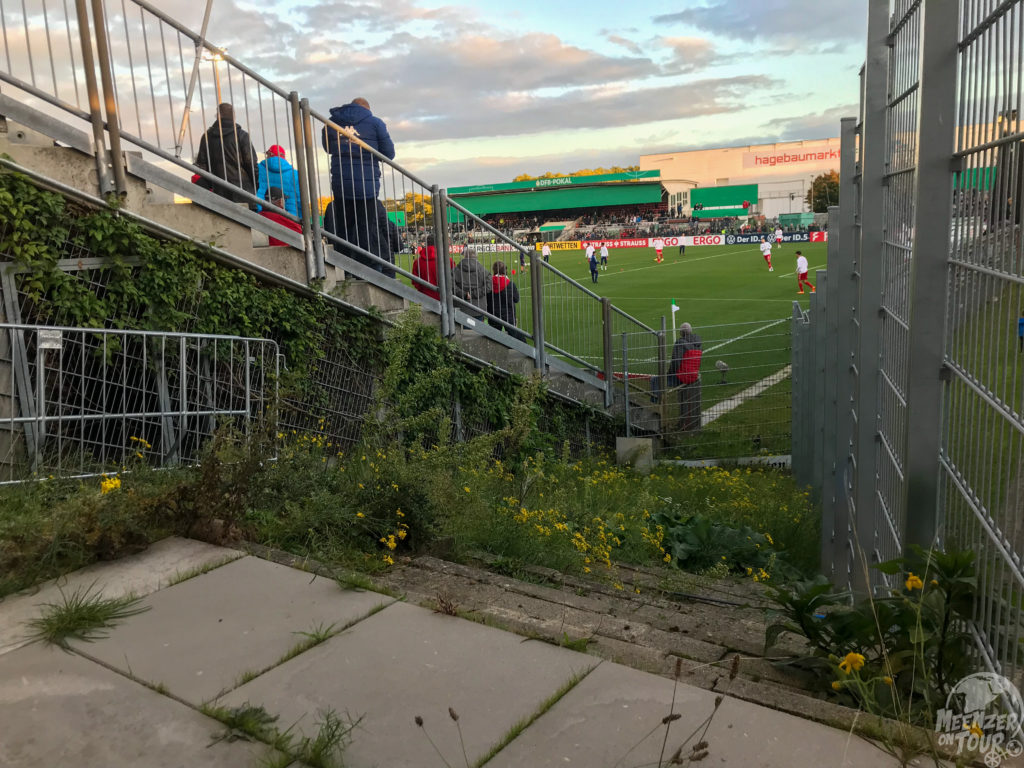 Blumen am Spielfeldrand